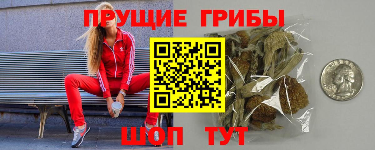Псилоцибиновые грибы MAGIC MUSHROOMS  Вход с VPN  Троицк  Псилоцибиновые грибы Cubensis 